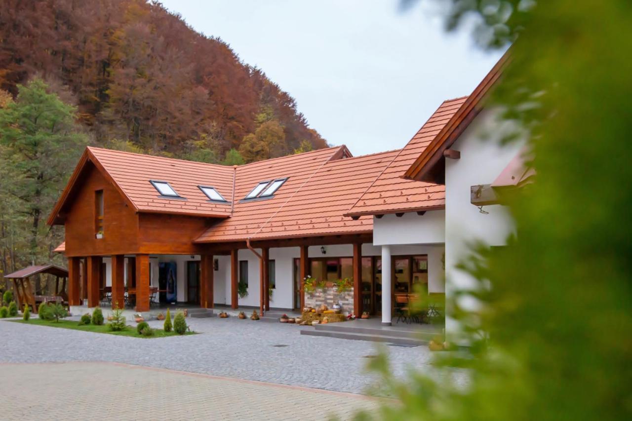 Patakmenti Panzio Spa Corund  Extérieur photo